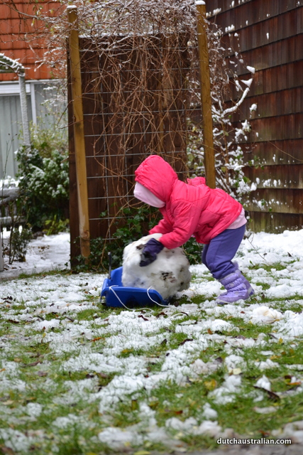 pushing onto the sled pushing onto the sled