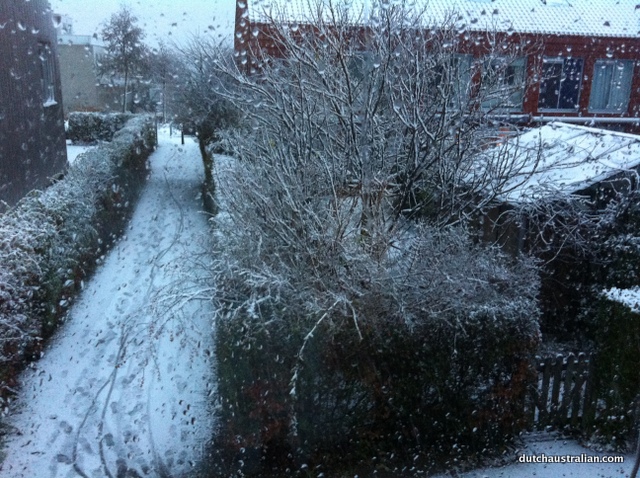 winter view winter view