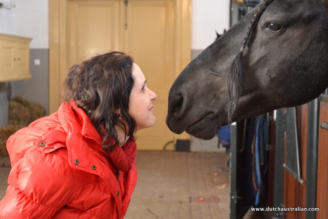 royal horse smooch