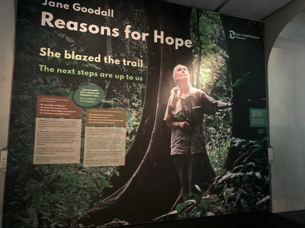 Jane Goodall Reasons for Hope Movie and Photo Exhibition in The Hague
